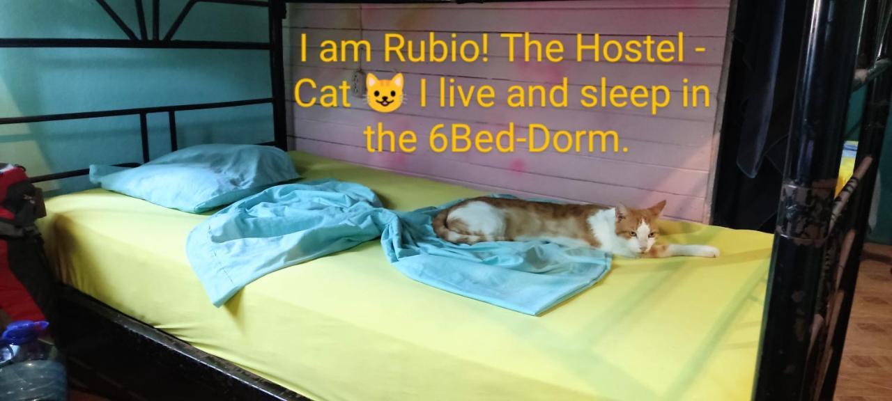 Hostel Matilori Самара Экстерьер фото